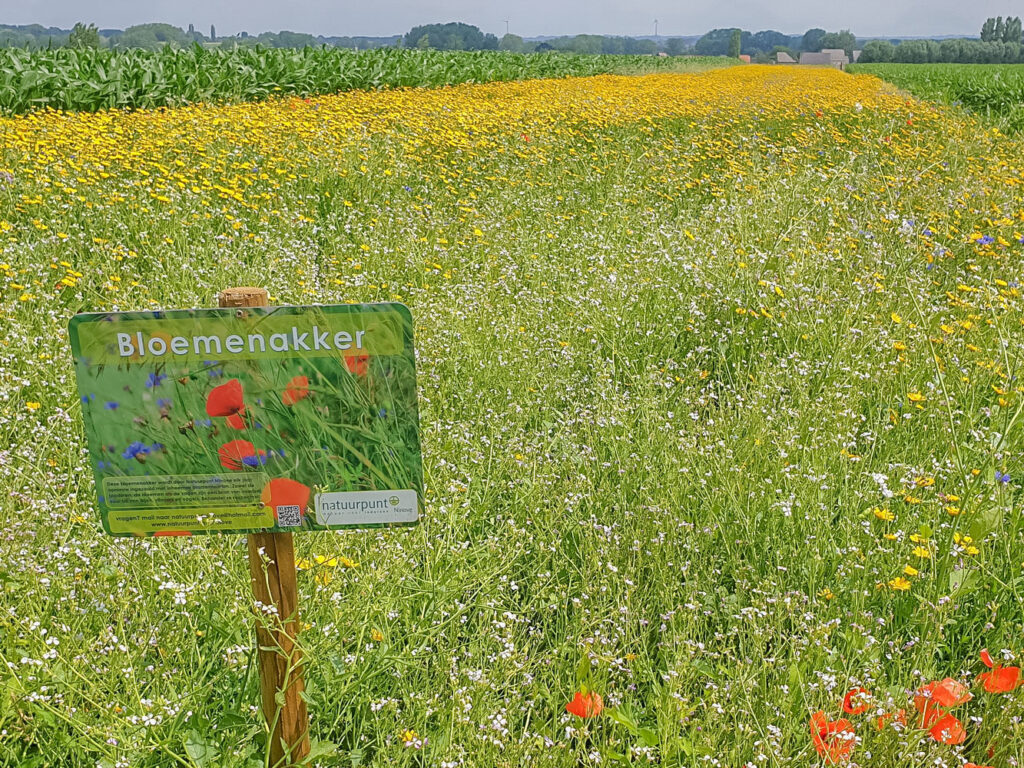 Natuurpunt Ninove